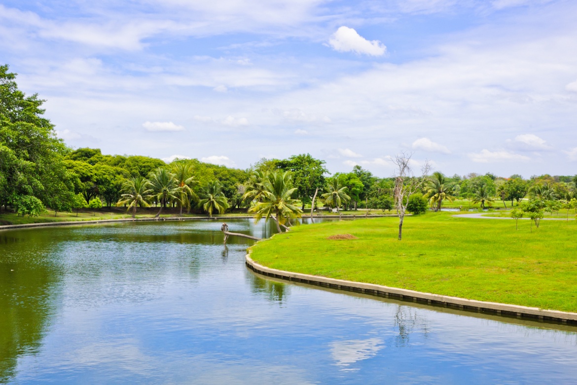 Mangrove Wetland Park